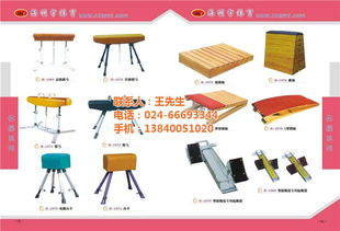 運動器材廠 豐和信息技術(shù)中心 在線咨詢 沈陽運動器材