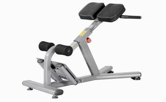 山東室內(nèi)運(yùn)動器材產(chǎn)業(yè)發(fā)展概覽 優(yōu)質(zhì)制造商與市場趨勢分析